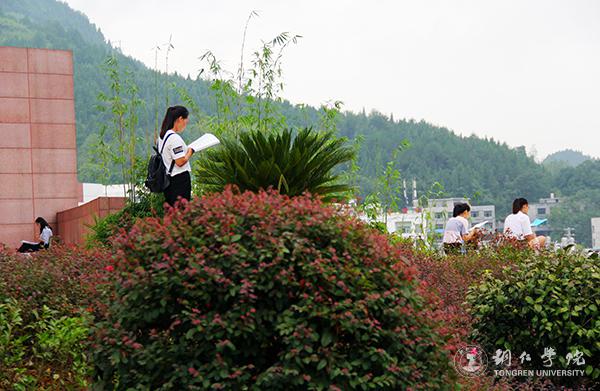 9晨读的学生.jpg